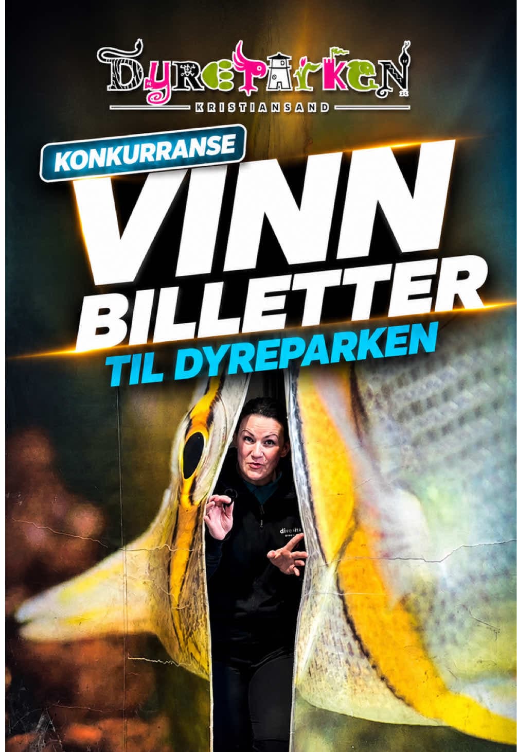 Konkurransevideo